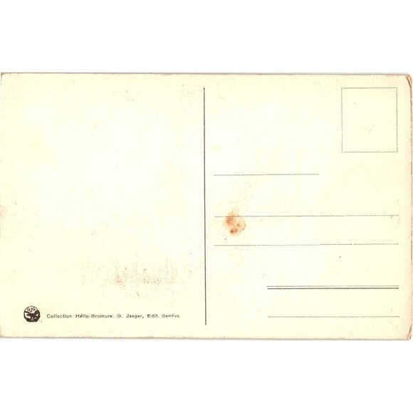 Château De Chillon Vintage Postcard Montreux Alps Swans Scenic View G Jaeger Hel - Picture 2 of 2